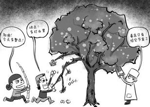 農(nóng)藥殘留會(huì)傷身“棒打”銀杏會(huì)傷樹(shù)